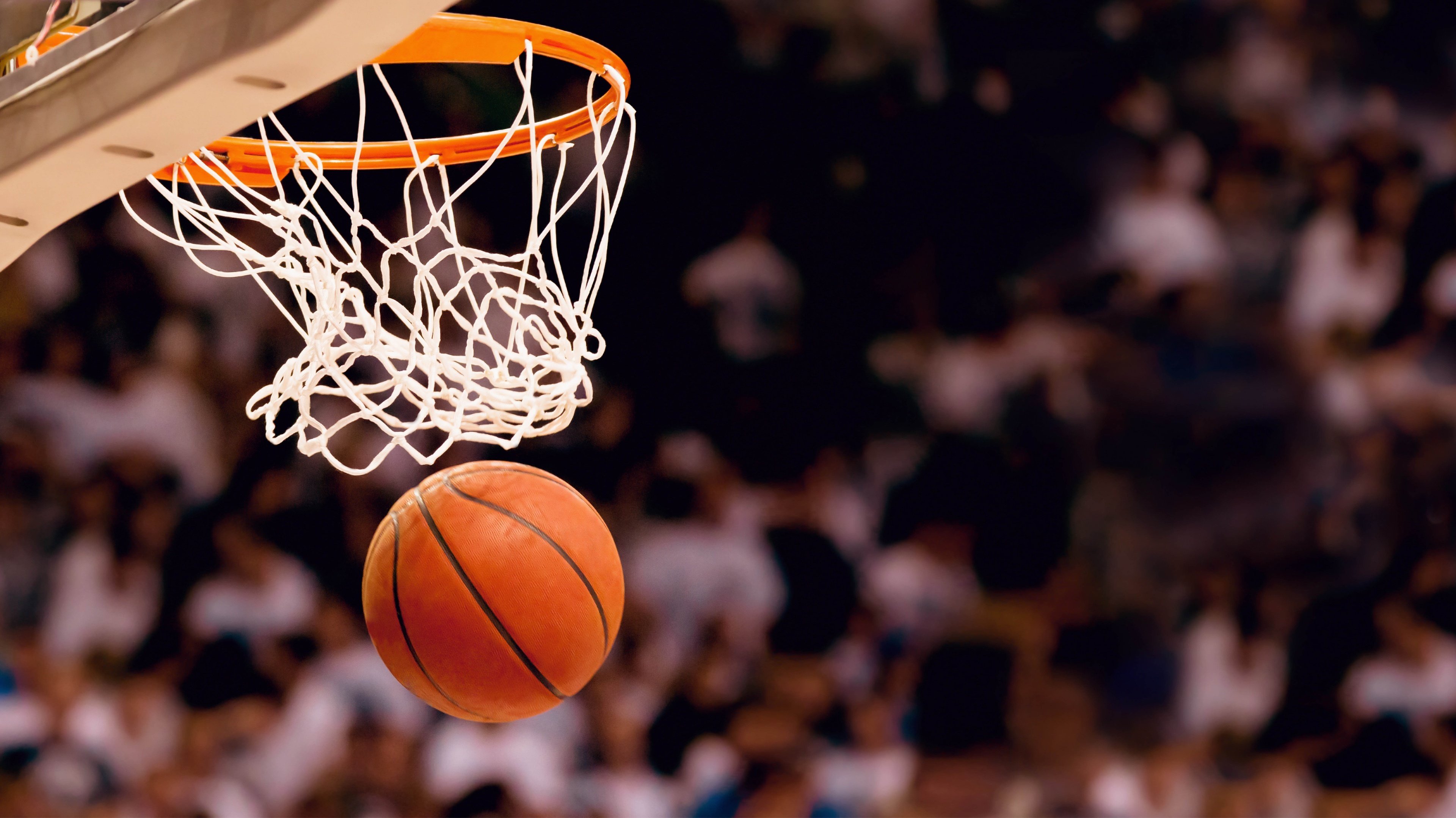 当温网冠军遇上NBA篮网,科维托娃的跨界奇遇